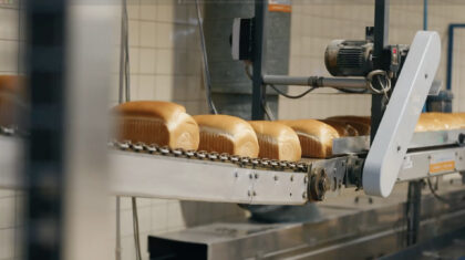 Videostill of an industrial bakery line with freshly baked loaves moving along a conveyor belt.